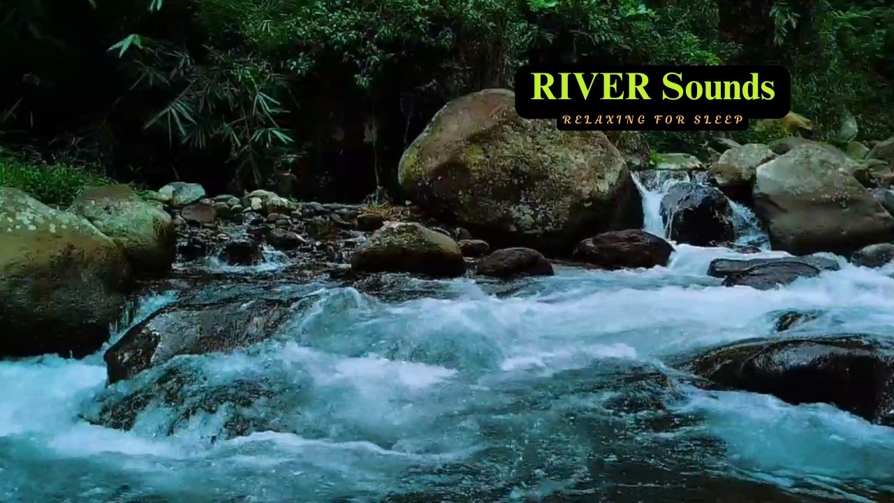 Serene Jungle River Ambience – Perfect Background for Sleep & Focus