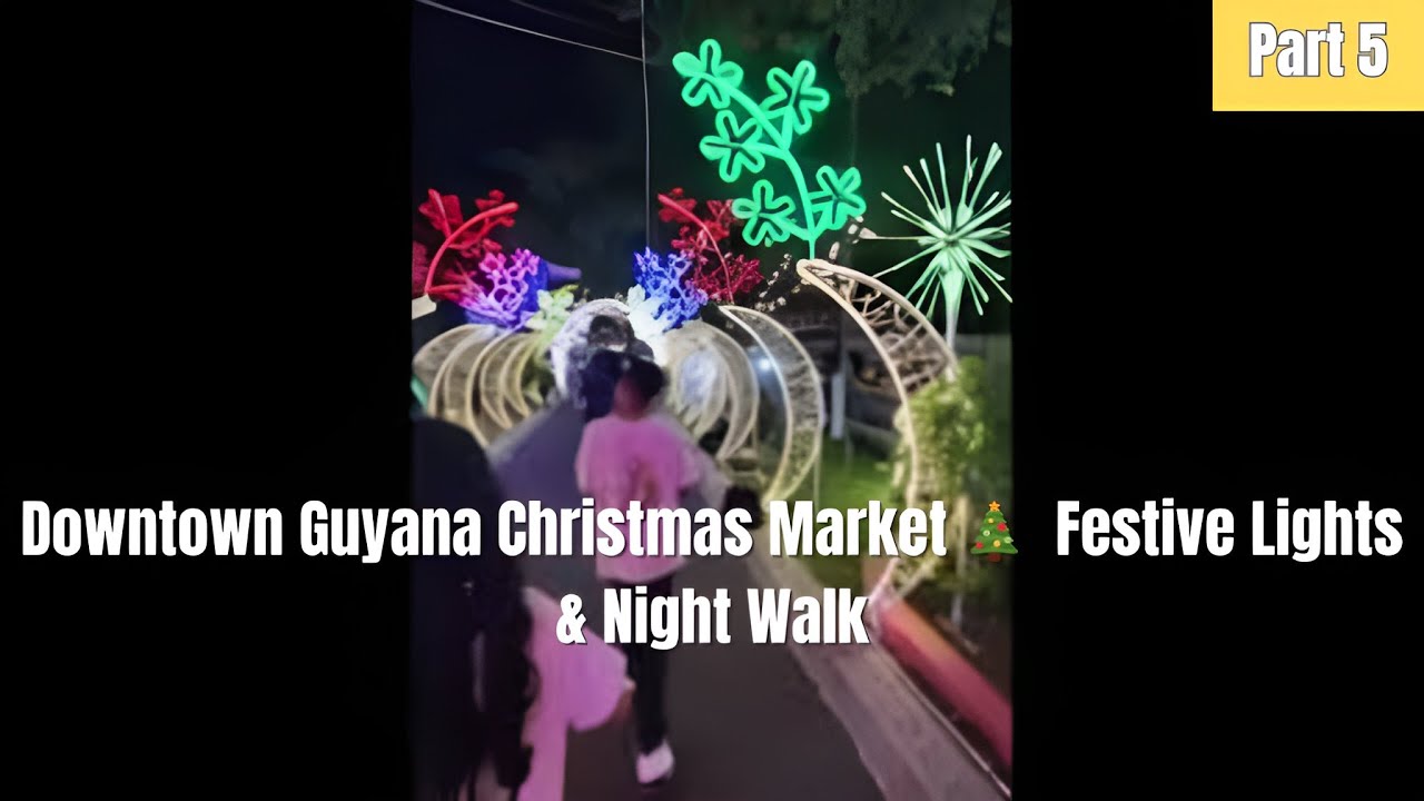 Part 5: Downtown Guyana Christmas Market 🎄 | Festive Lights & Night Walk