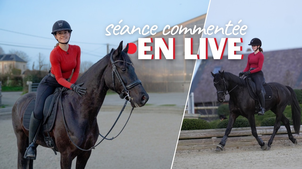 AVOIR UN JEUNE CHEVAL, C'EST UN CHALLENGE !