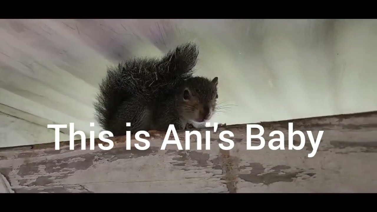 Ani brings Baby back for a visit to my house!