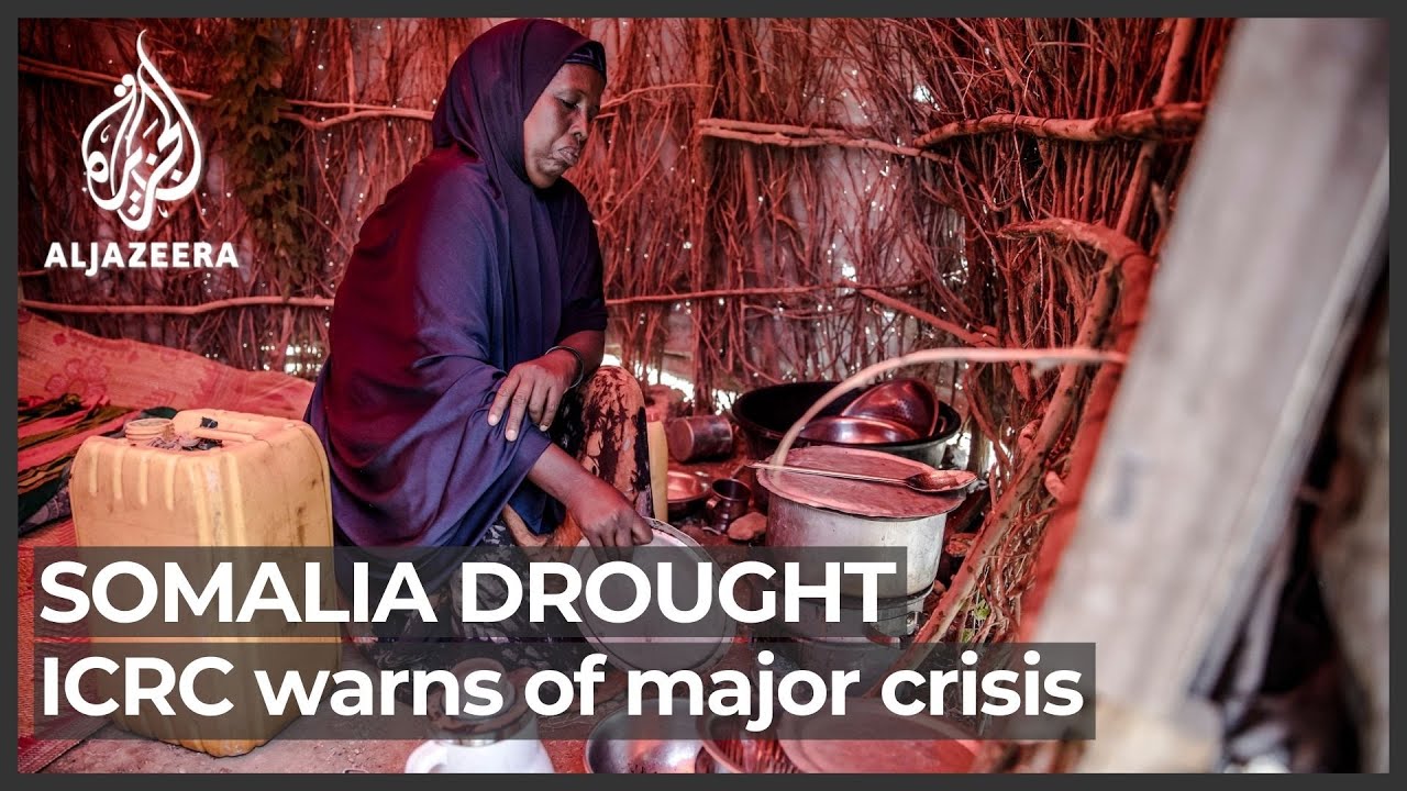 Somalia drought: ICRC warns of major humanitarian crisis
