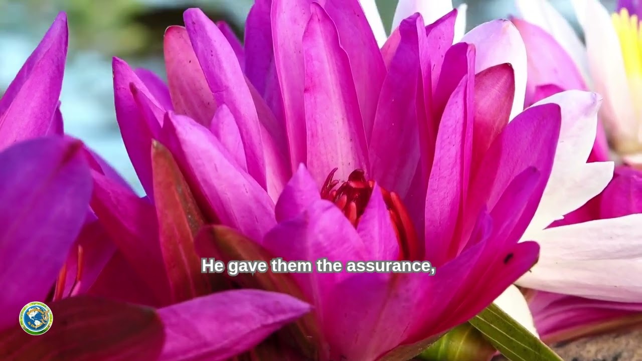 CHRIST'S OBJECT LESSONS | Chapter 6 | Page 61 | Ellen G. White