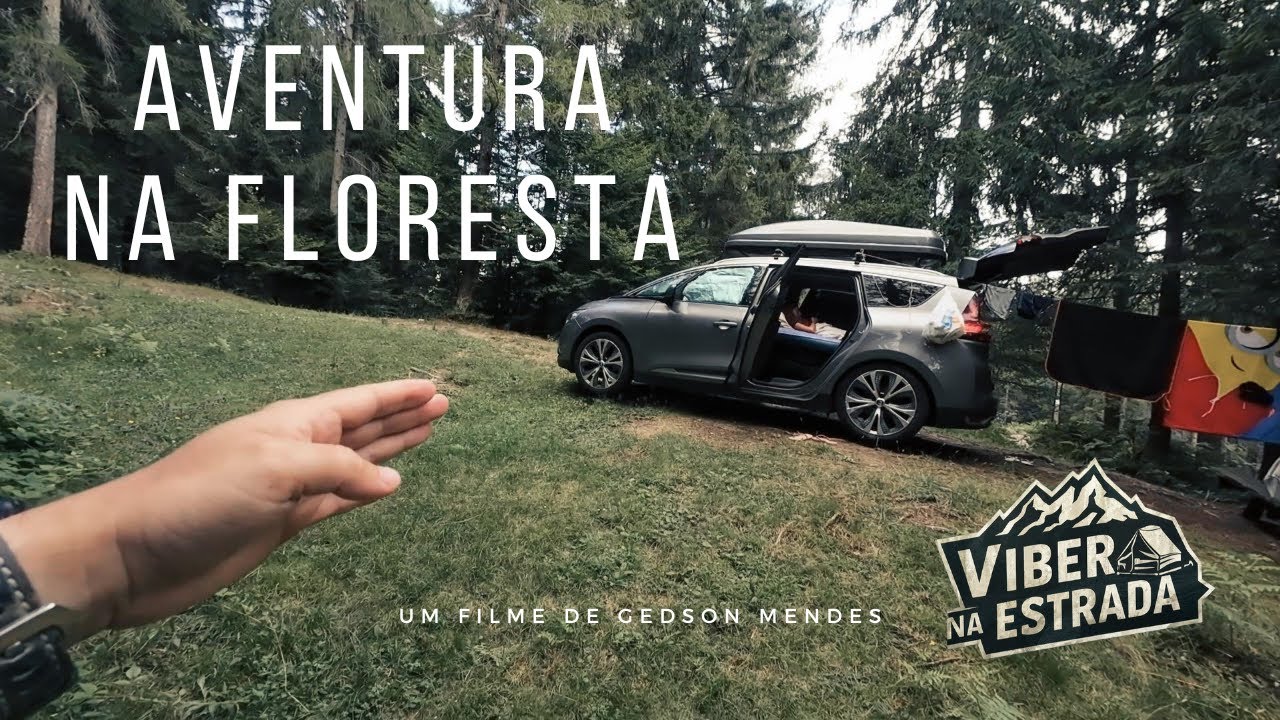 Uma noite na floresta encantada _ VE-T1.ep024