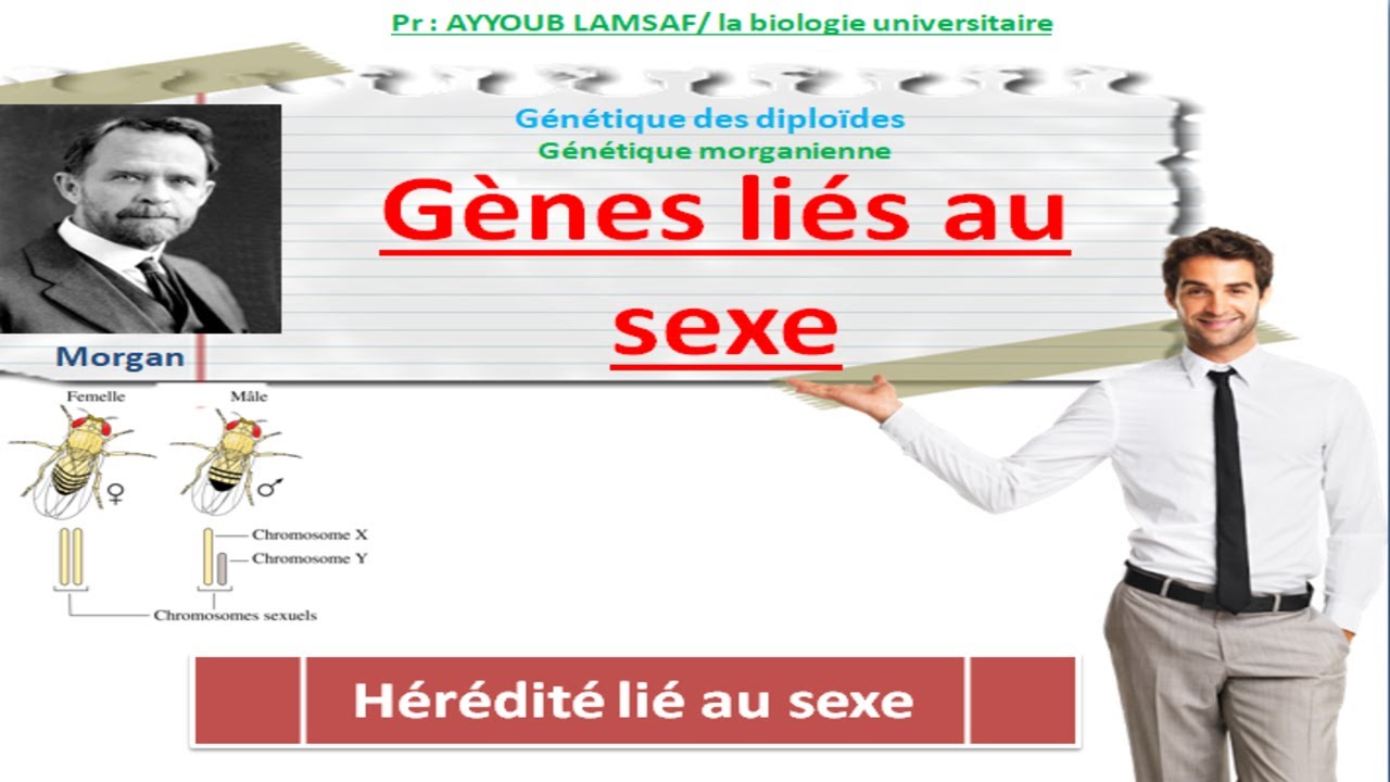 gène lié au sexe (Hérédité lié au sexe) cours de génétique