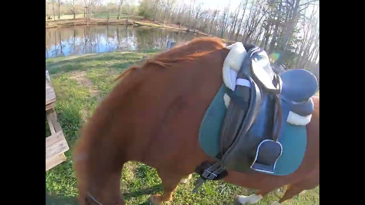 Aaron 2025   03 28 Barnsour Short Ride