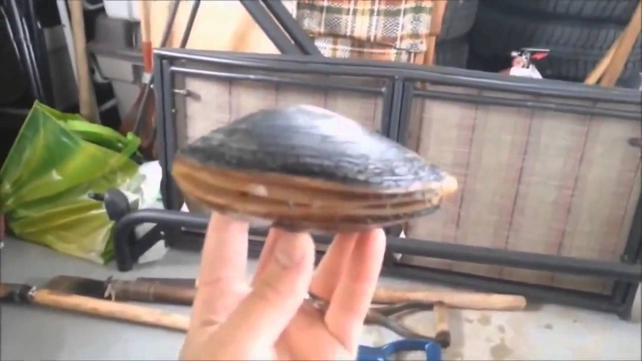МЕГА РЖАЧ!! Epic Fail Win Compilation December 2013 Best of Fails & Wins