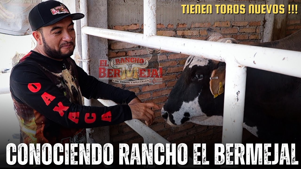 CONOCIENDO LOS TOROS DE RANCHO EL BERMEJAL | La Ganadería sensasion del estado de Guerrero