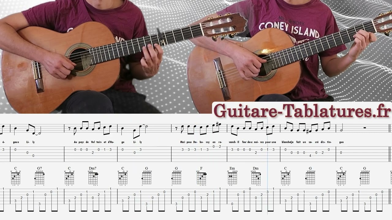 🎸 Pierre PERRET 🎵  LILI - Reprise Guitare Tablature