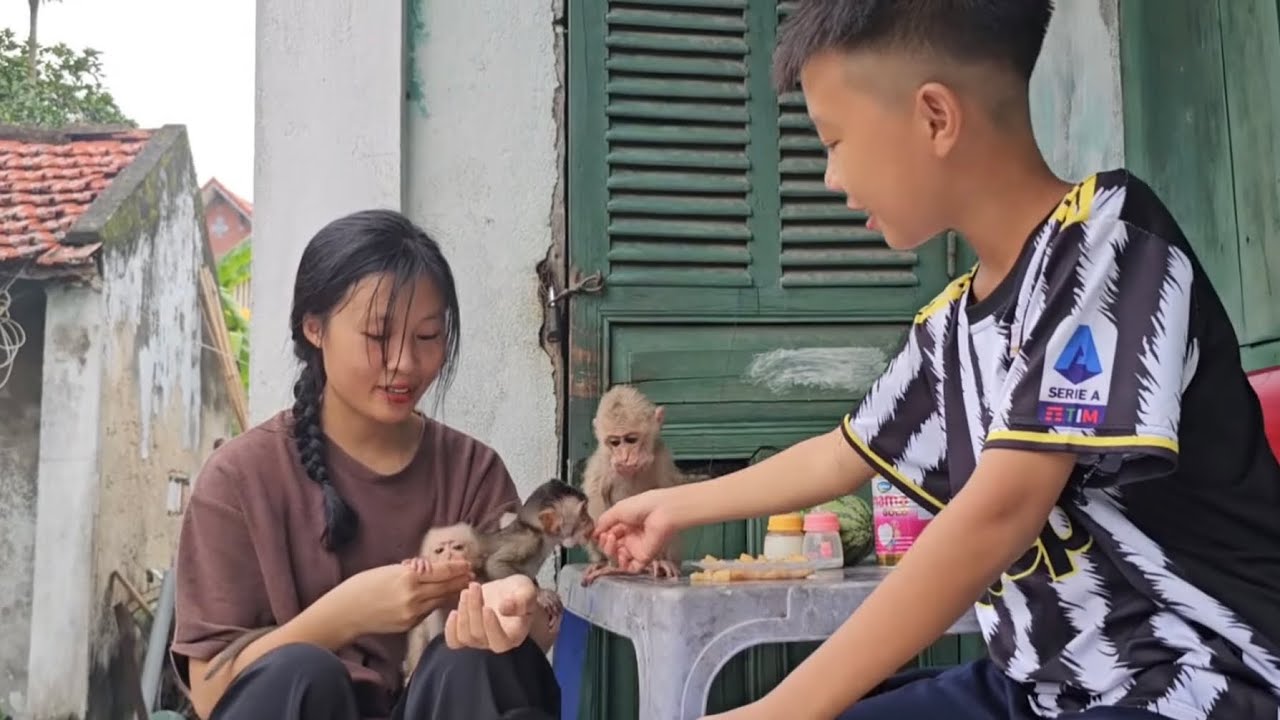 Children in the village asked to adopt the baby monkey Luci