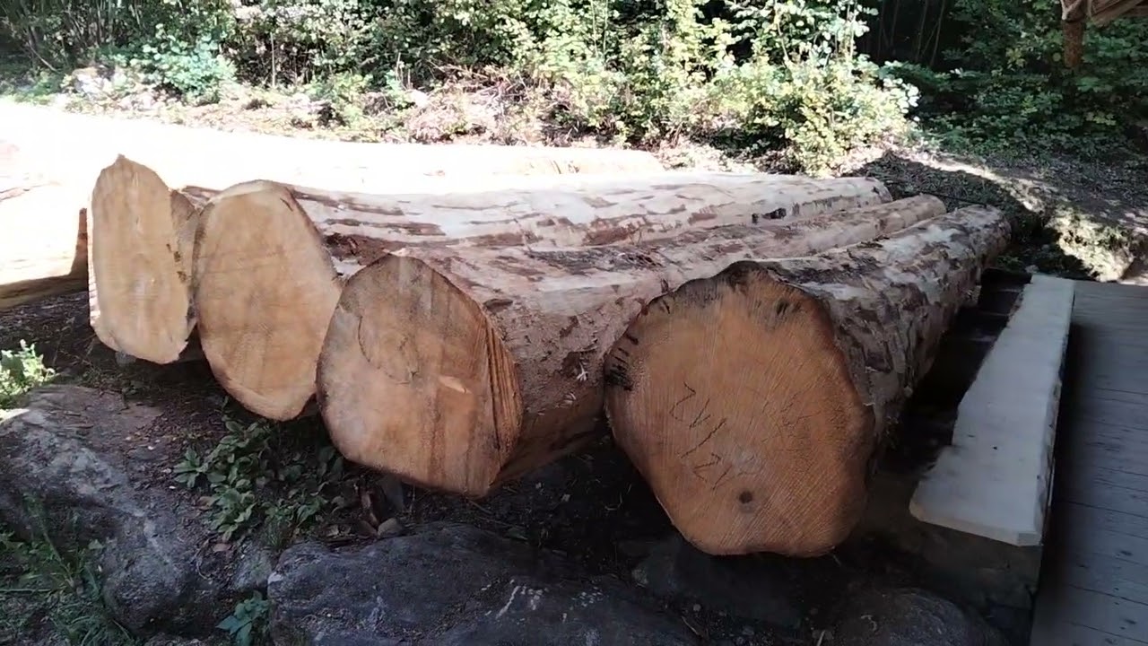 Holzs&auml;ge Gatter mit Wasser Kraft