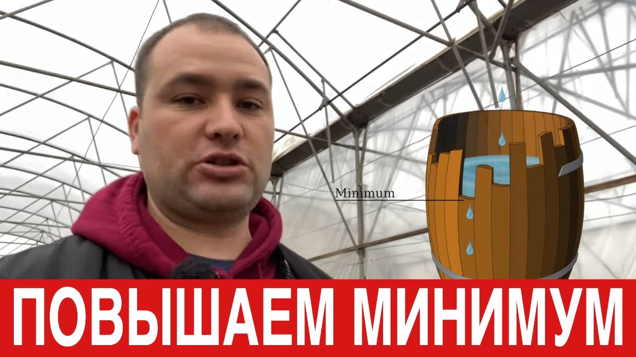 ВНЕШНИЕ ФАКТОРЫ И ИХ ВЛИЯНИЕ НА УРОЖАЙНОСТЬ