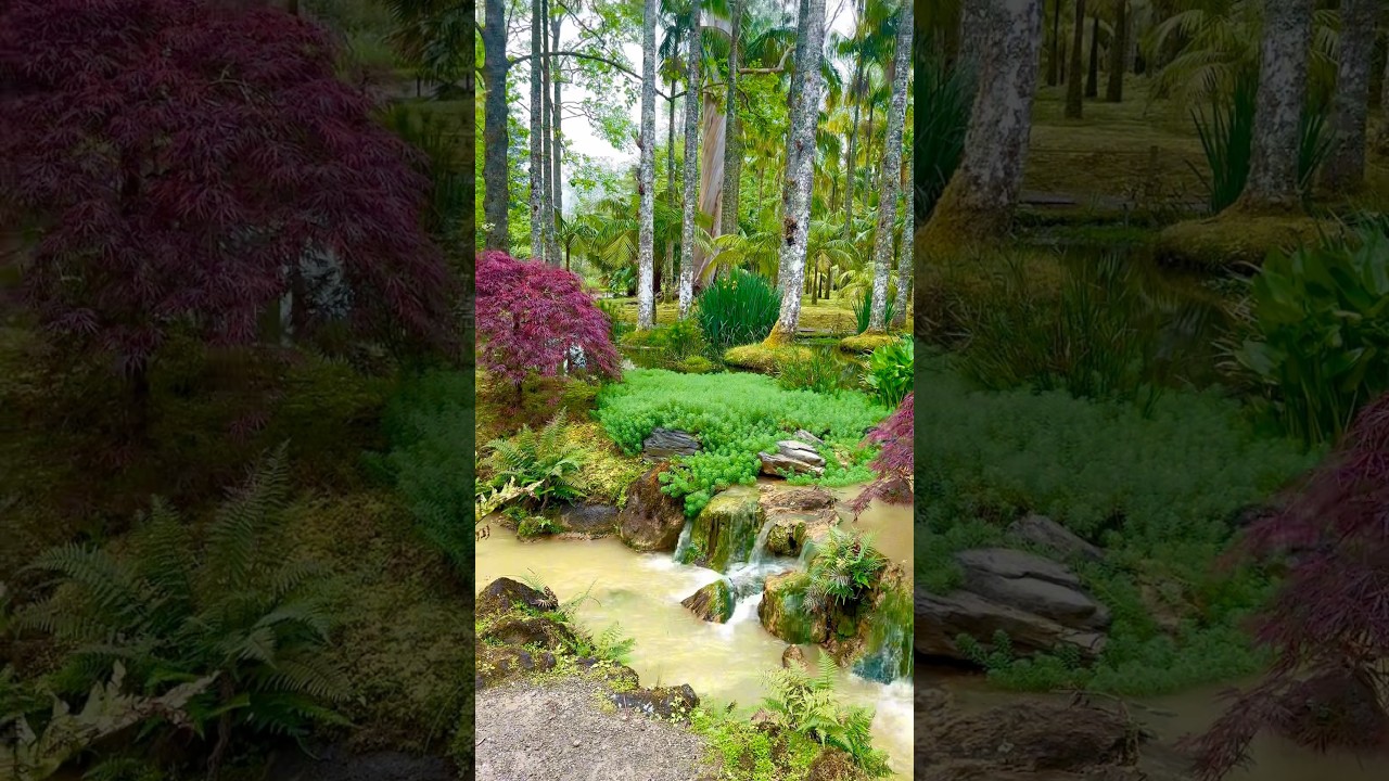 Magical Garden of São Miguel – A Hidden Paradise in the Azores