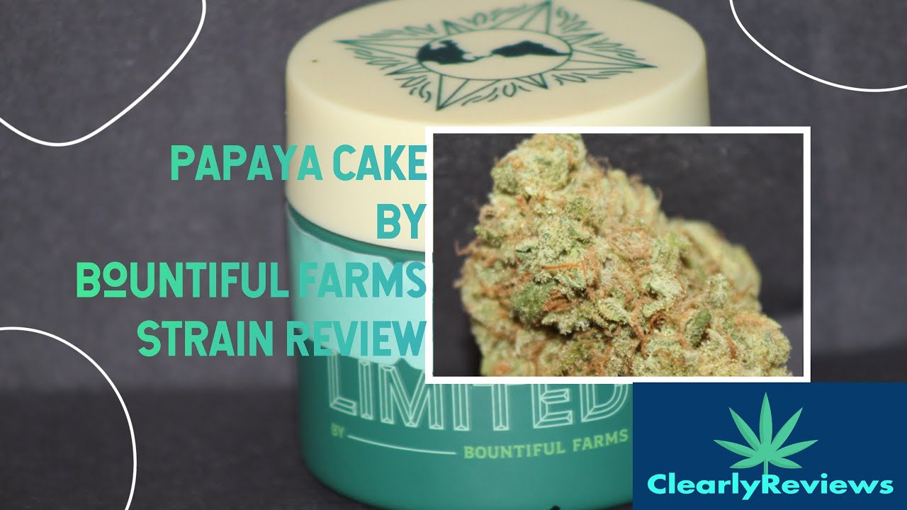 Papaya Cake By @bountifulfarmsMA STRAIN REVIEW