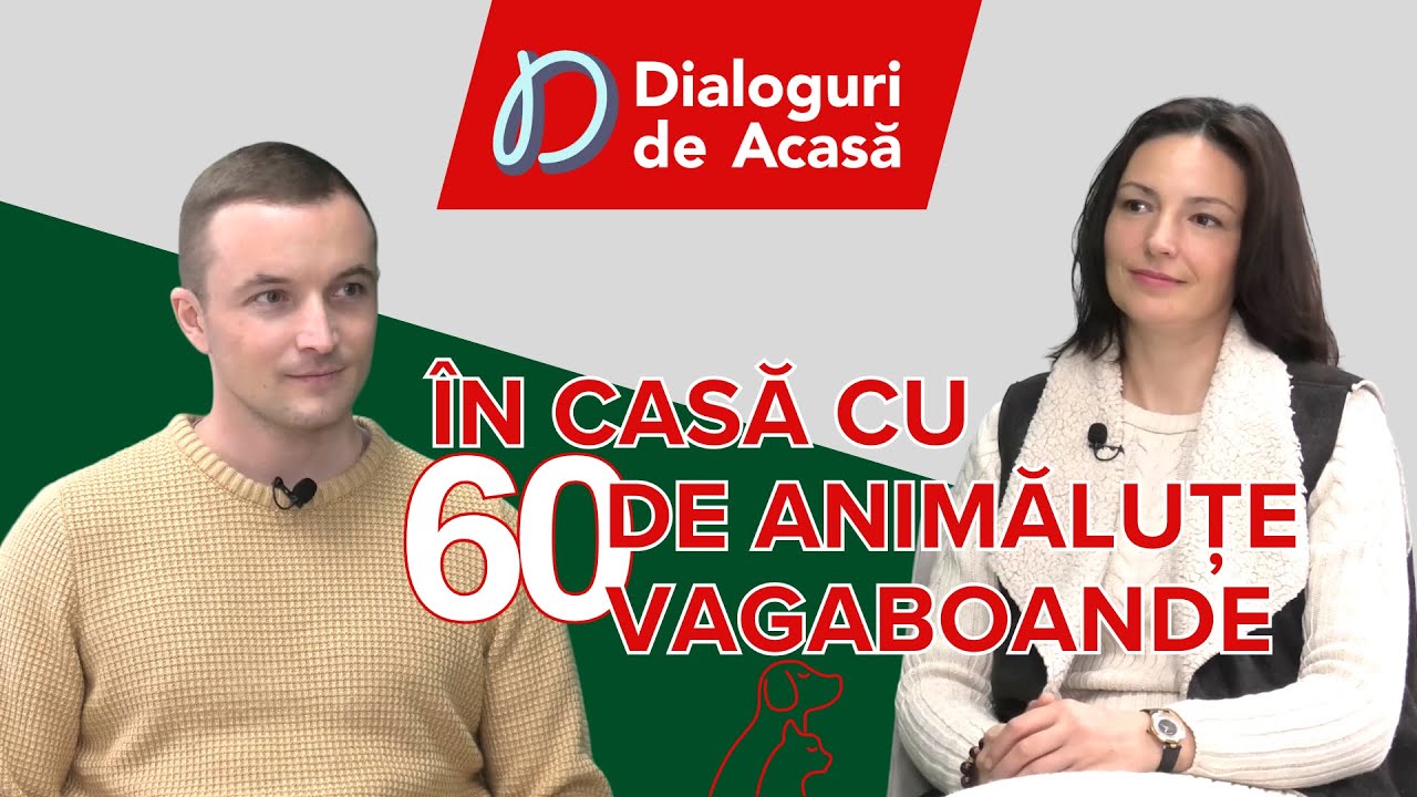 UNICA SOLUȚIE: Oprim înmulțirea câinilor & pisicilor prin STERILIZARE