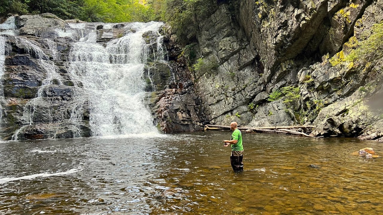 3 Days of Mountain Trout Fishing - Rainbow Trout Cookout!