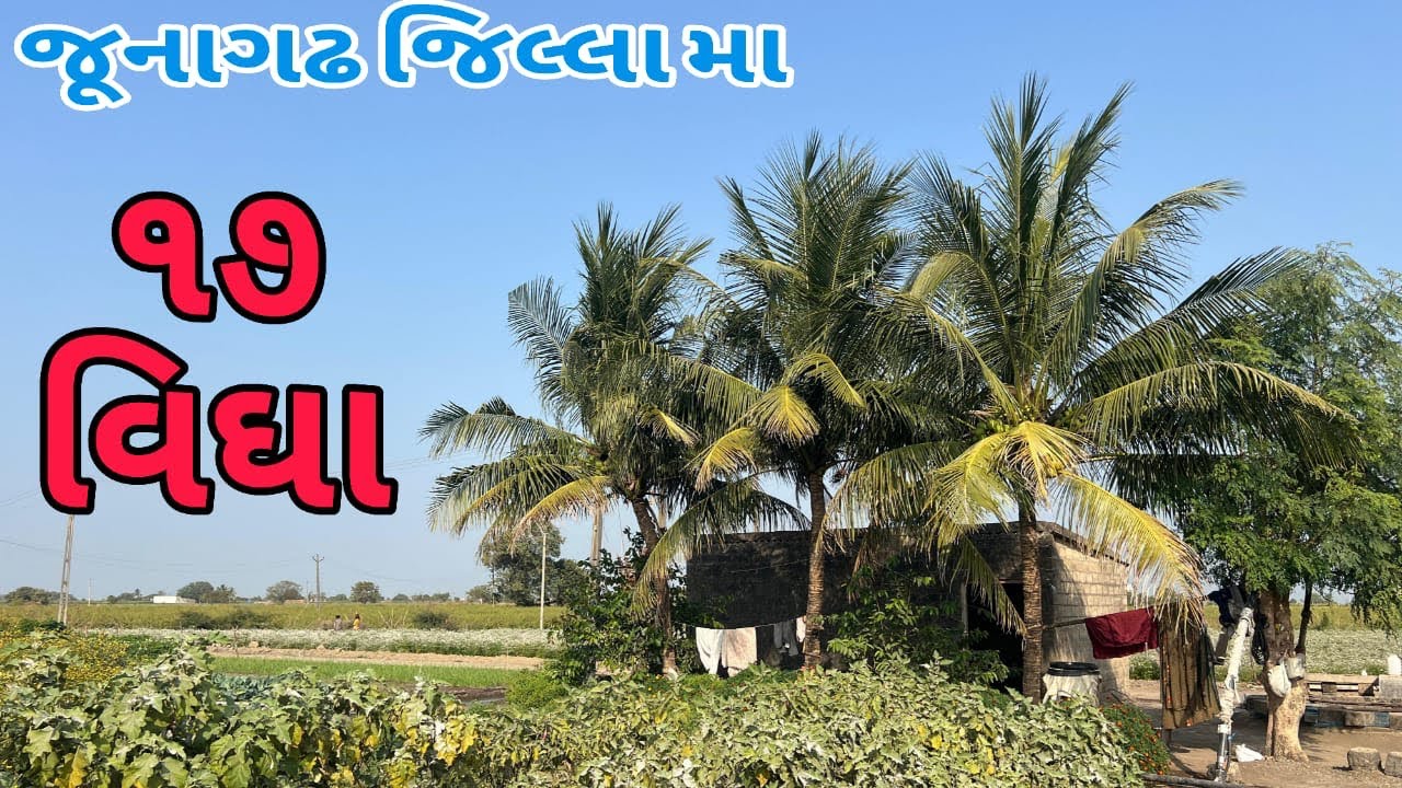 જૂનાગઢ જિલ્લા ના પ્રાસલી ગામે ૧૭ વિઘા ☎️૯૫૮૬૨૫૭૬૯૭