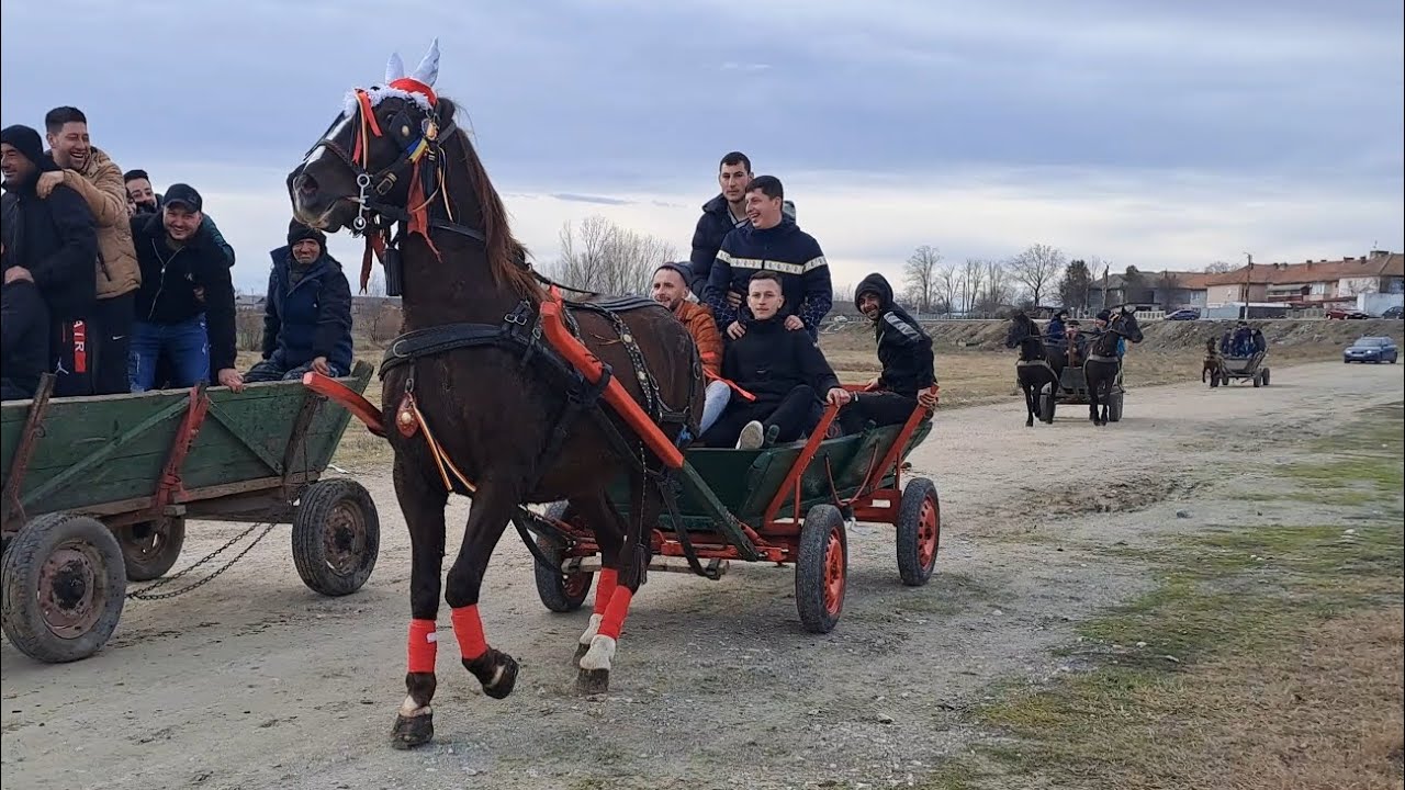 BOBOTEAZĂ BORDUȘANI-CEGANI 2024!!!!!! Botezul cailor 2024.