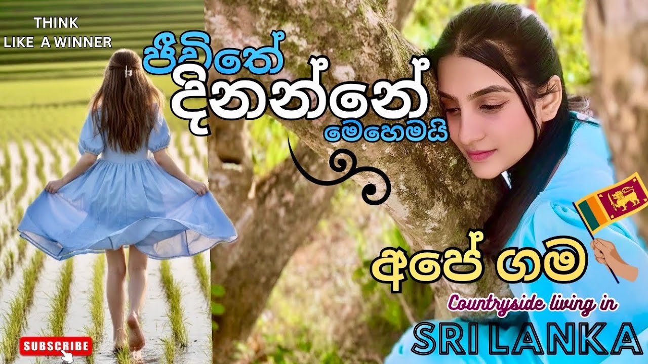 ඔයාටත් සතුටින් ඉන්න බැරිද? | ජීවිතේ දිනන්නේ මෙහෙමයි | Think like a Winner | මම ආස ජීවිතේ | SRI LANKA