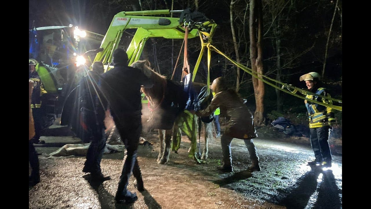 Feuerwehr befreit gestürztes Pferd in Bochum-Höntrop