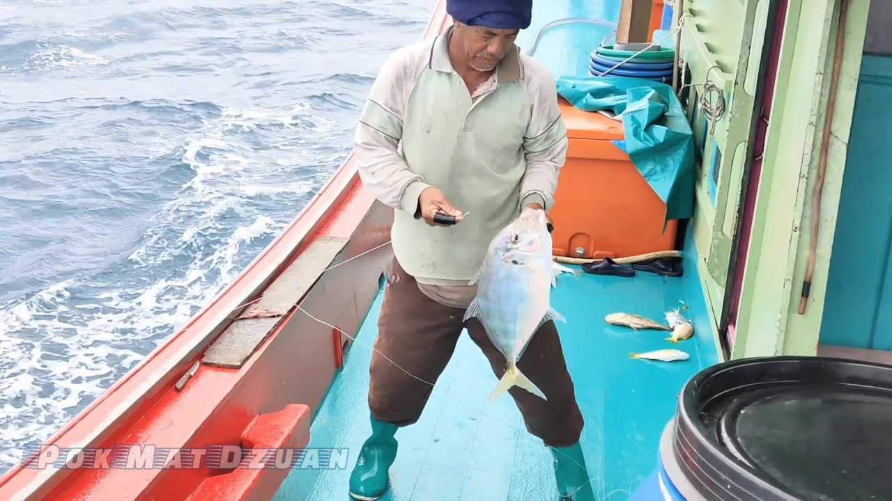 menduga ikan petek di lingkaran paip Seligi