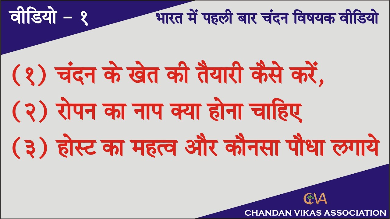 Sandalwood Host, Chandan Host, Chandan Farm preparation, CVA. MO-9925627297 Call time 9 to 6