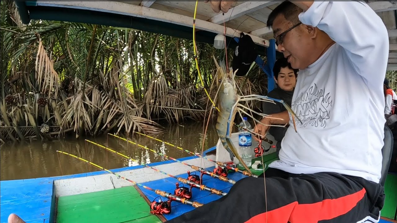 Mancing udang galah bersama senior Heru Angler Padu di sungai paduan