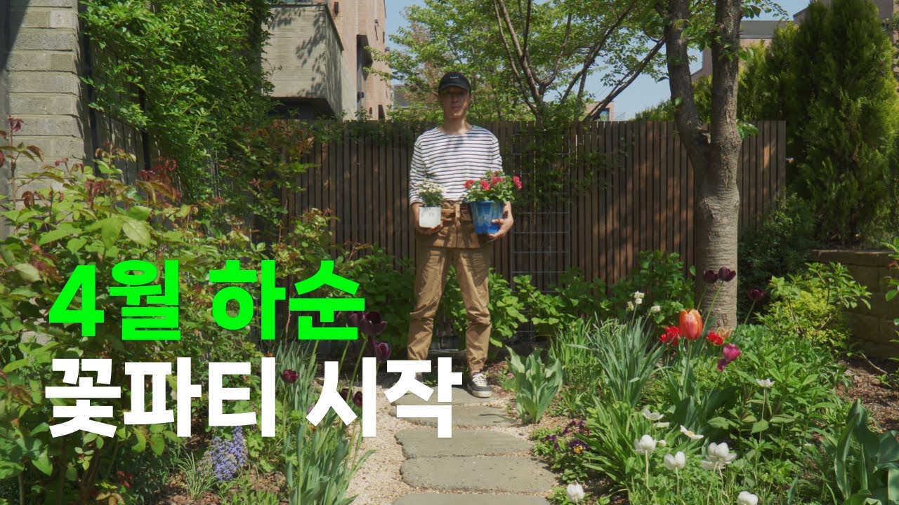 4월 하순 꽃파티 시작! | 사계바람꽃, 브루네라, 차가플록스의 정원