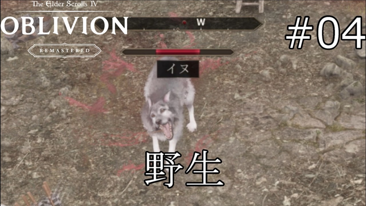 野生の力を感じる【The Elder Scrolls IV: Oblivion Remastered  実況プレイ】part4