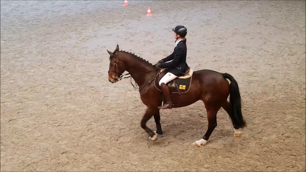 Linda's Lizenzprüfung Rüti April 2018