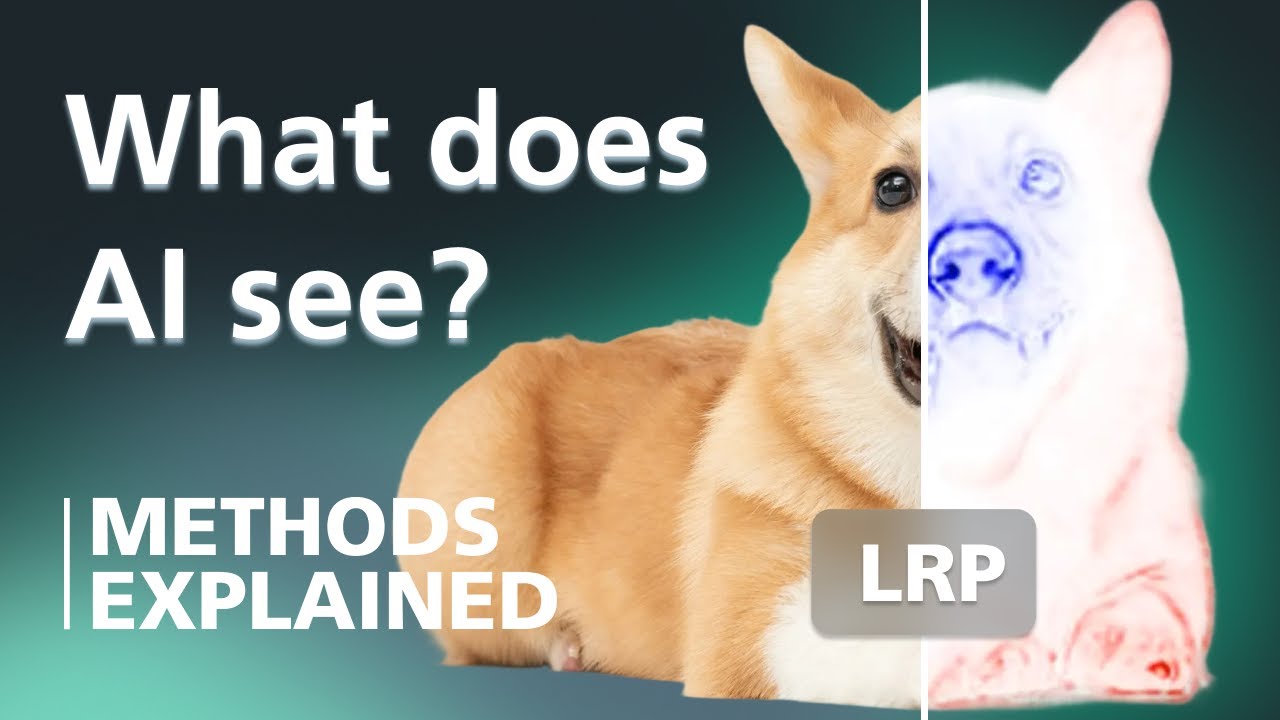 Layer-Wise Relevance Propagation: A Visual Introduction | XAI Methods Explained