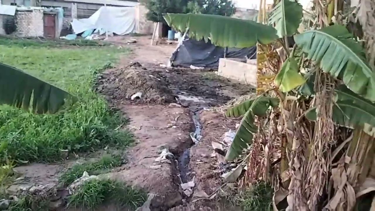 أرض زراعية مسجله ومنزل بسيط وحظيرة مواشي مساحتها فدانين إلا 3قراريط بمنطقة سكنية