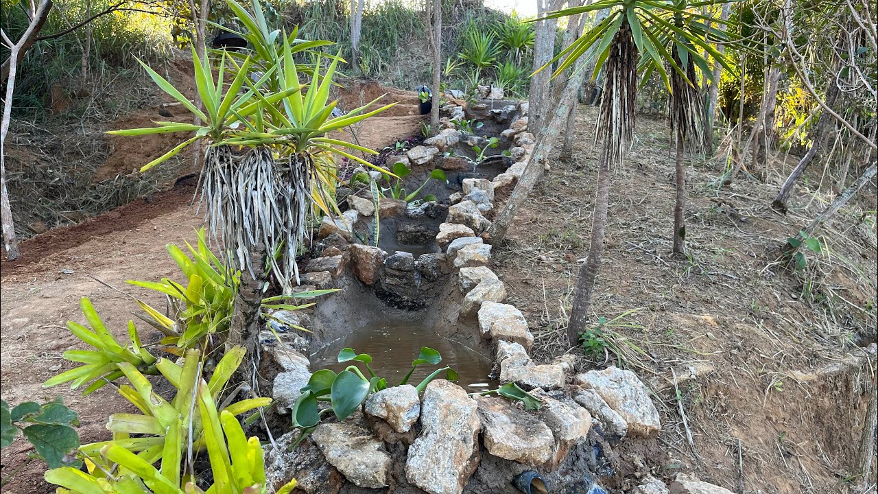 Passo a Passo NOVO Projeto aqui na Roça