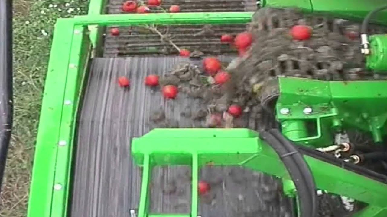 Tomato Harvester - Optional & Accessories