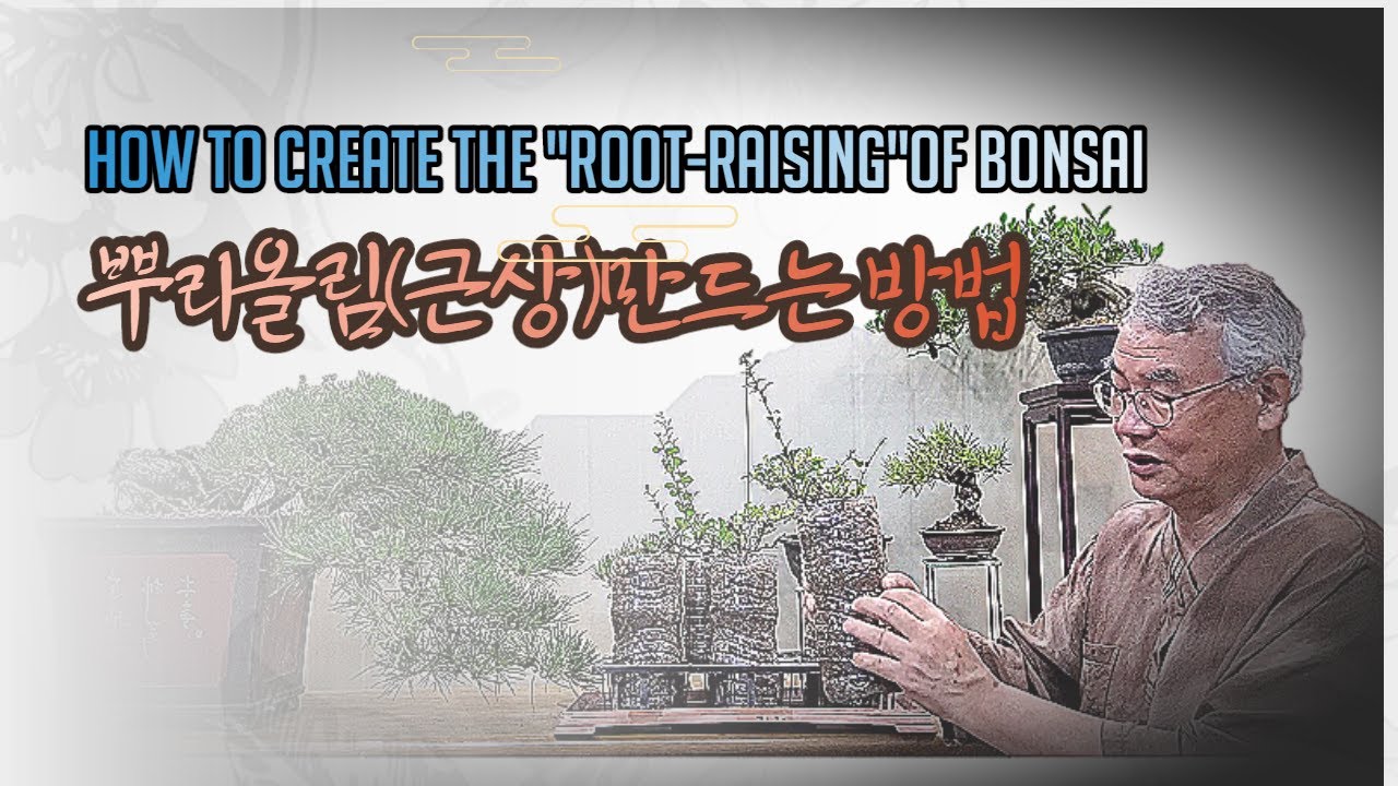 근상(뿌리올림) 만드는 방법 How to create the 