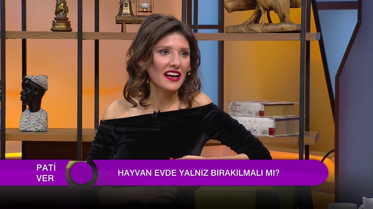 SOKAK HAYVANLARINA DESTEK!