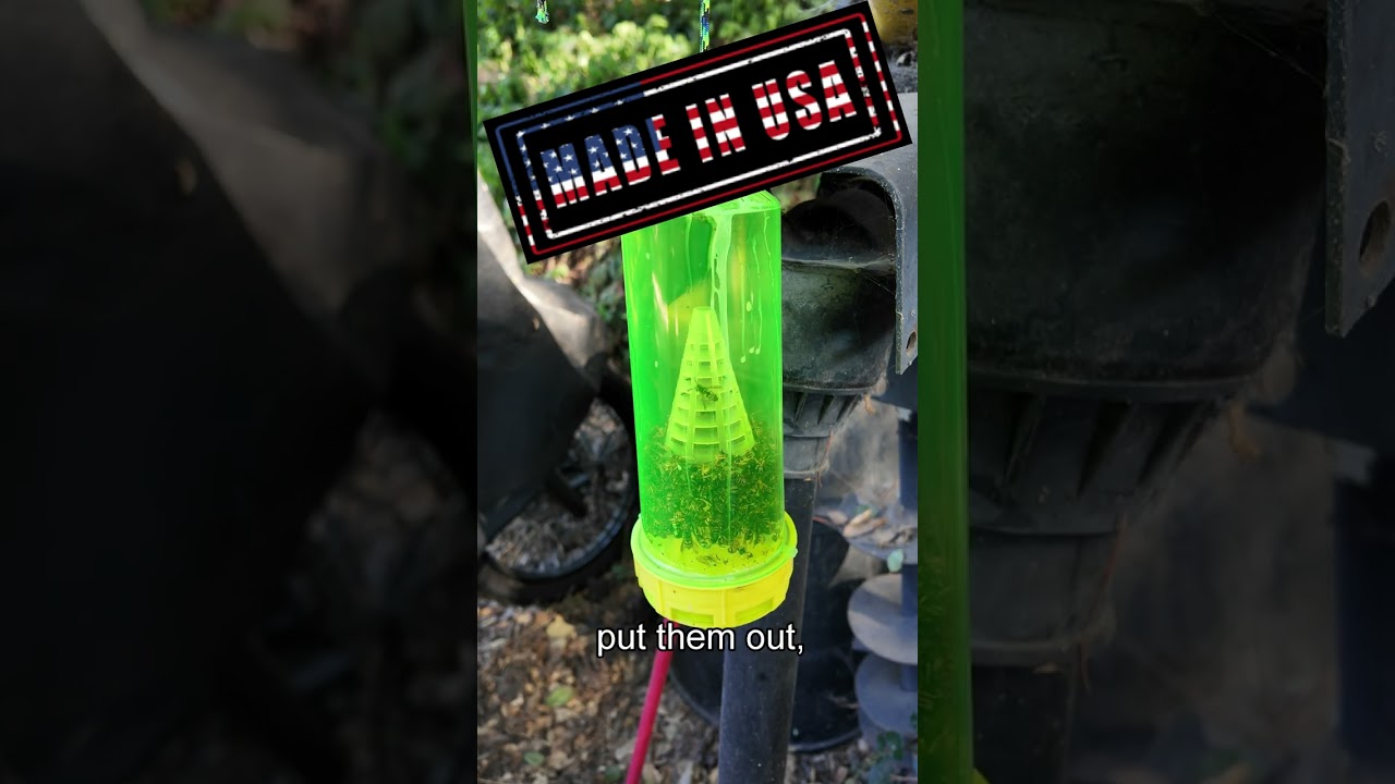 Eliminate Yellowjackets Safely! | RESCUE! Yellow Jacket Trap Review  🌿🛠️ #DIY #PestControl