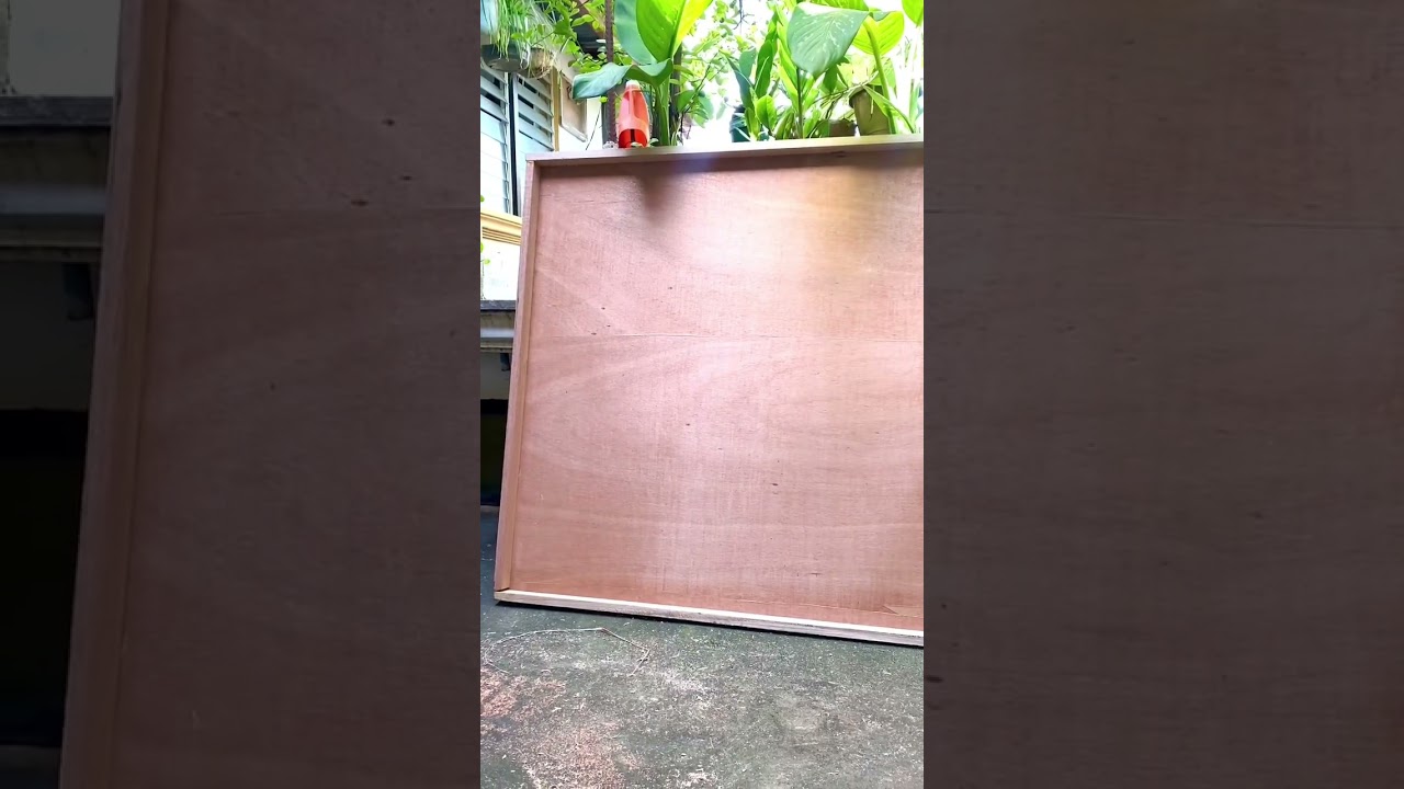 Making a box type canvas!! ft. Mewmew and Lola! 🌹
