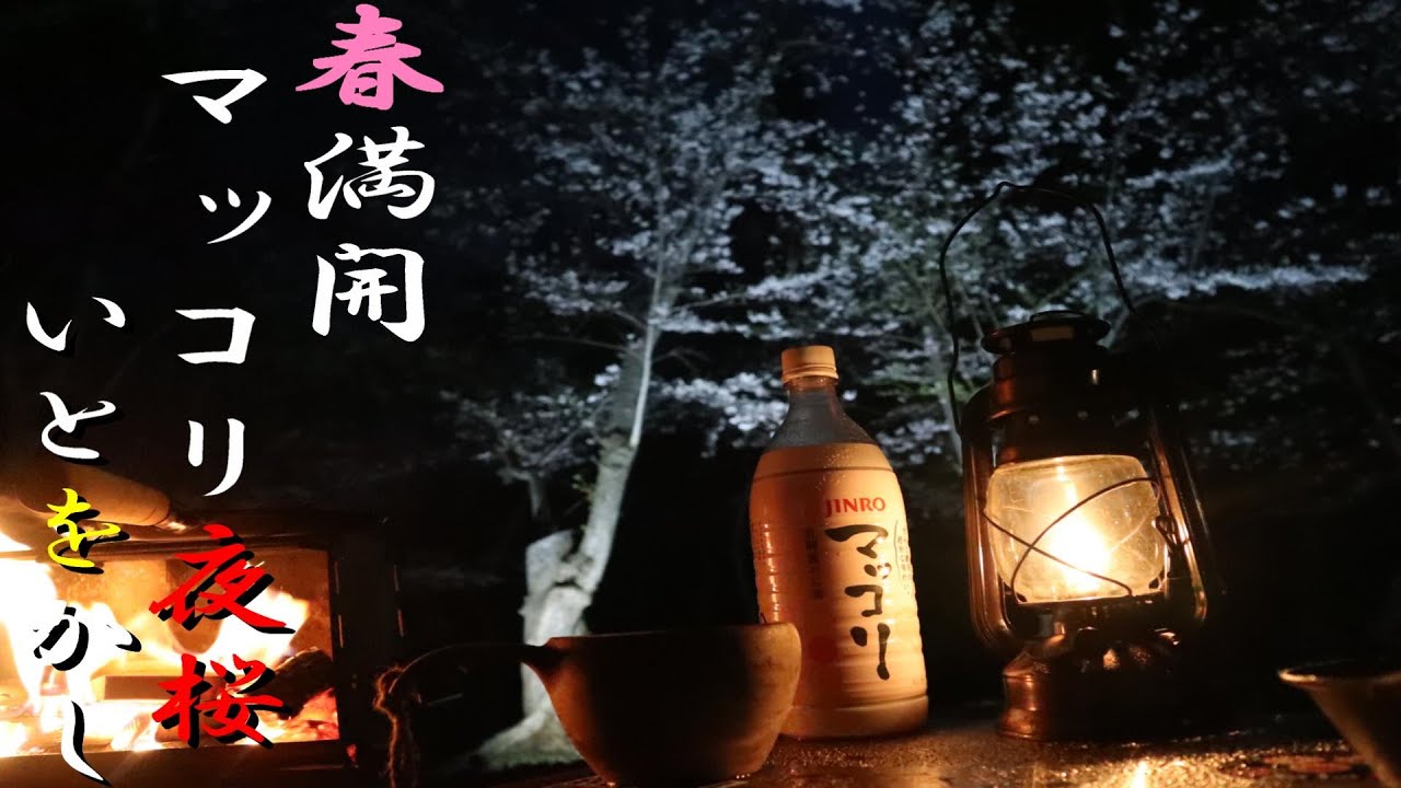 【solocamp】春満開！夜桜まっこり♪ソロキャンプ　岩木山桜林公園　ステイシーST2