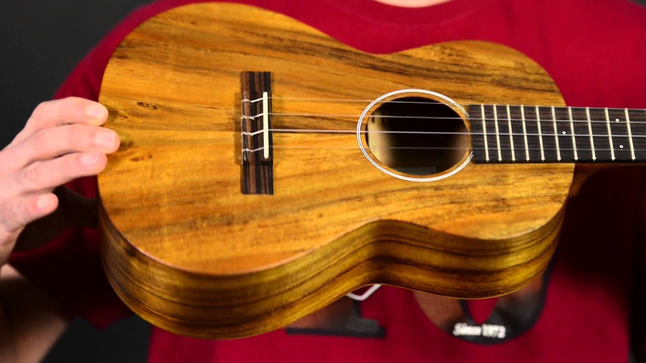 Elderly Instruments Demo: Martin T1K