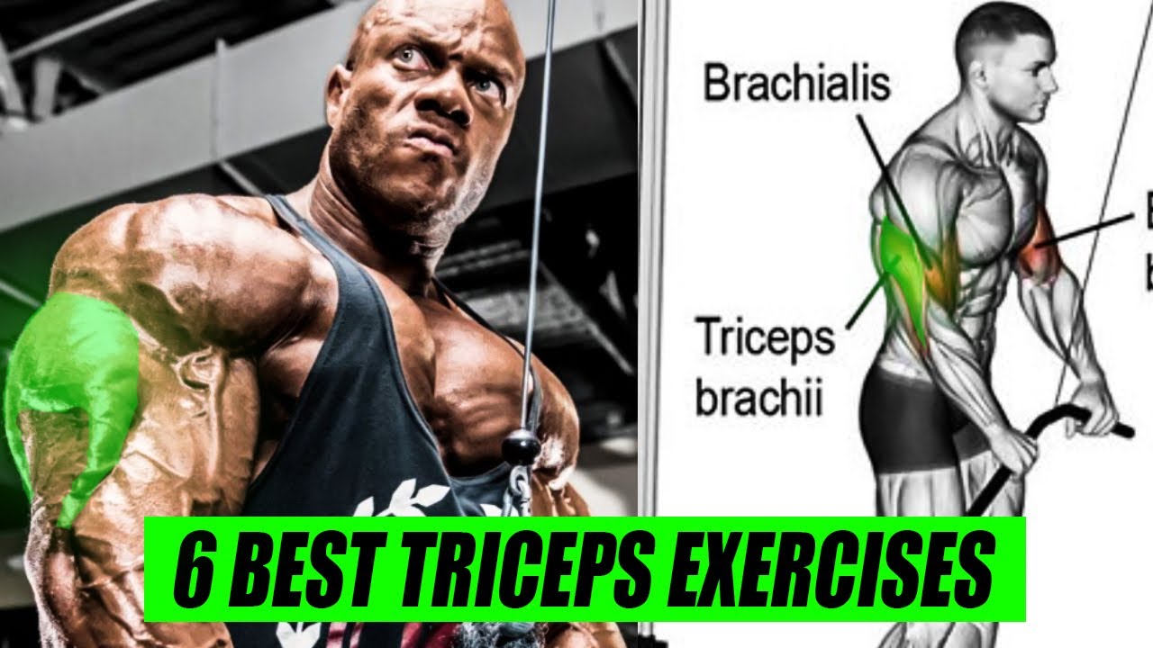 6 EXERCISES TO BUILD BIGGER TRICEPS FAST 💪 Best Triceps Exercises | 999% RESULTS