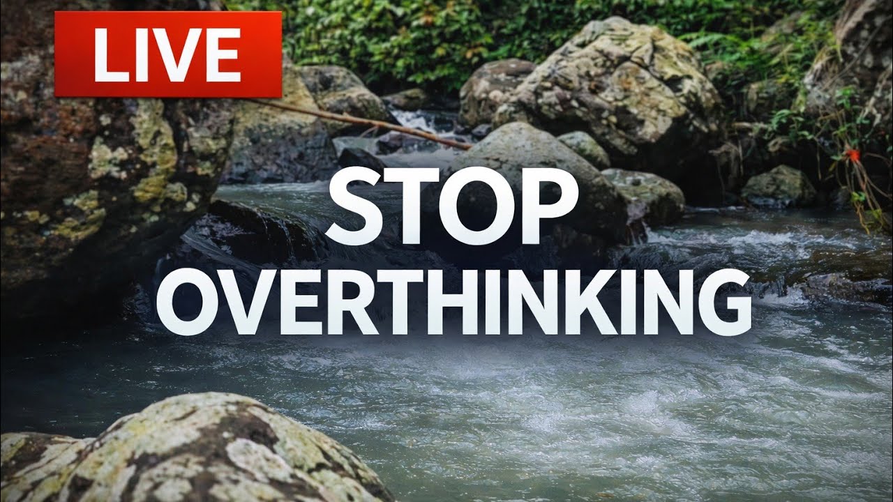 LIVE 24/7 🌿 Forest River Sounds | Relaxing Water for Sleep, Study, Meditation & Stress Relief