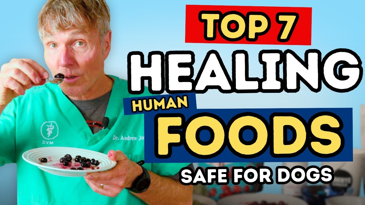 Dr. Jones’ 7 Natural Foods That Help Dogs Live Longer