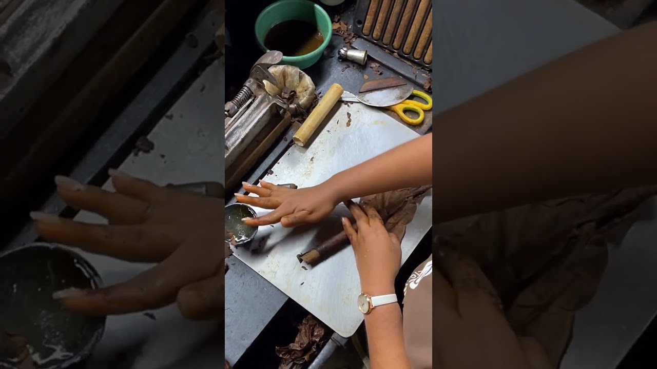 Cigar Rolling Art 💪🏻