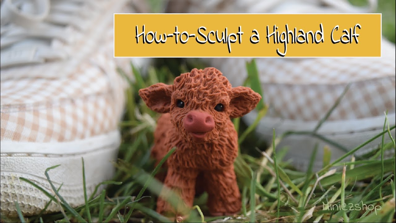 How-to-Sculpt a Highland Calf
