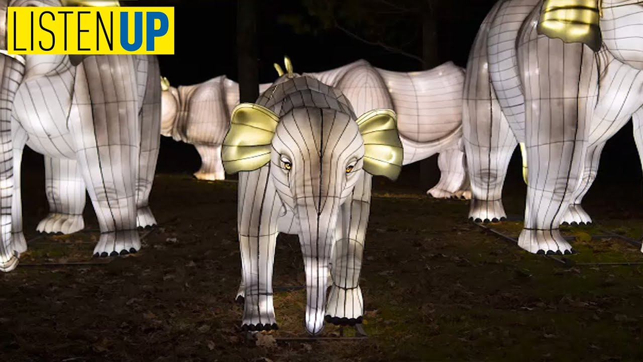 Holiday Lights Are Back at the Bronx Zoo! | Listen Up