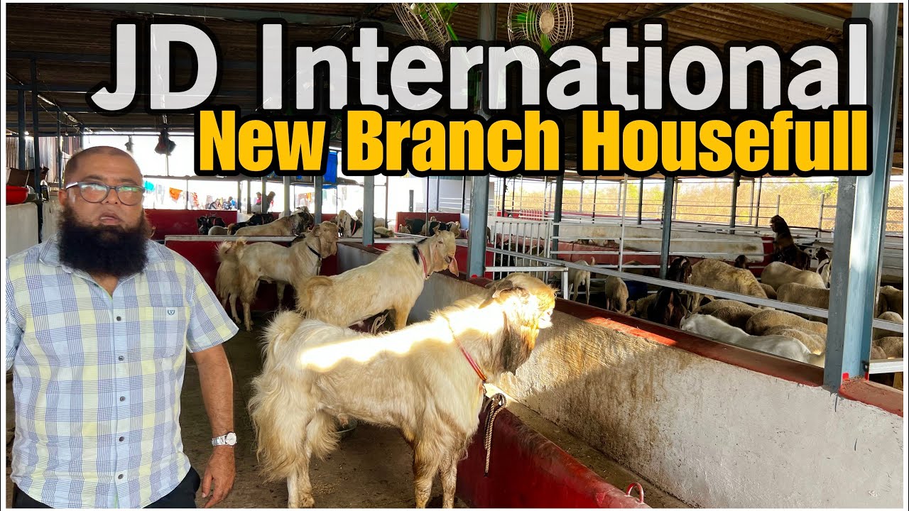 Full Tour of JD Goat Farm’s New Branch - JD International