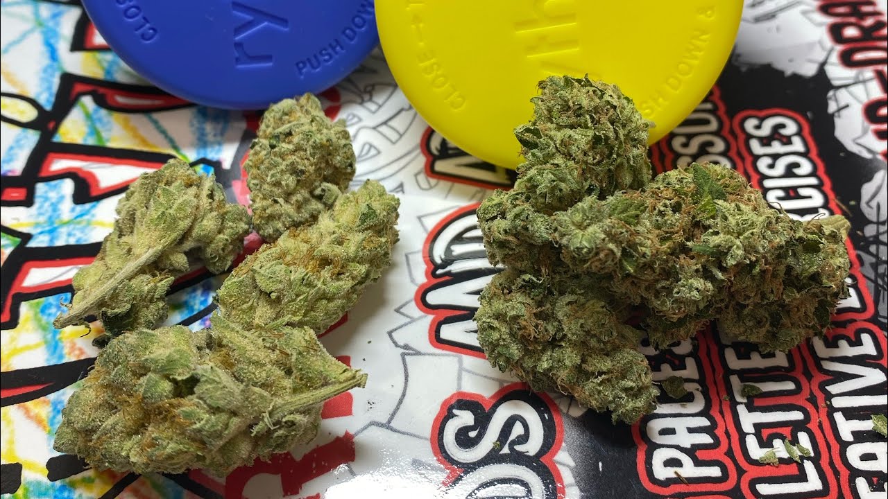 Rhythm brownie scout & sour diesel
