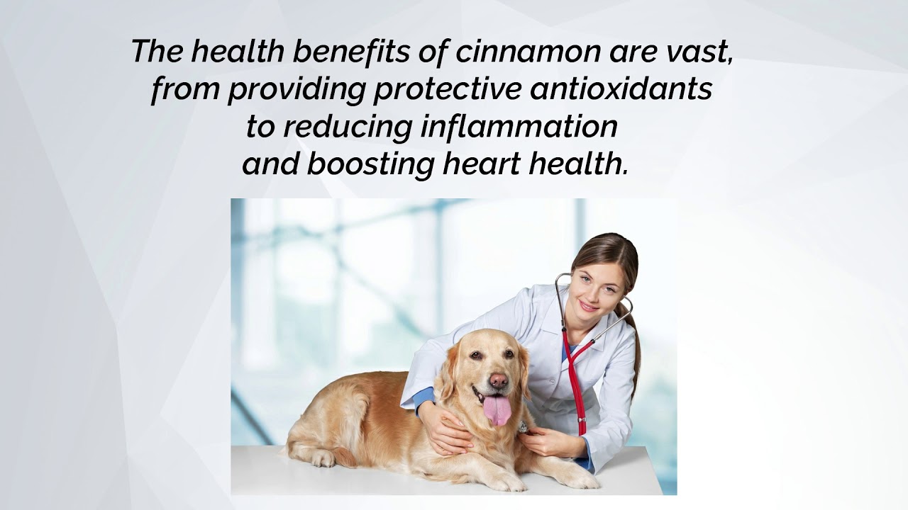 CAN DOGS EAT CINNAMON?