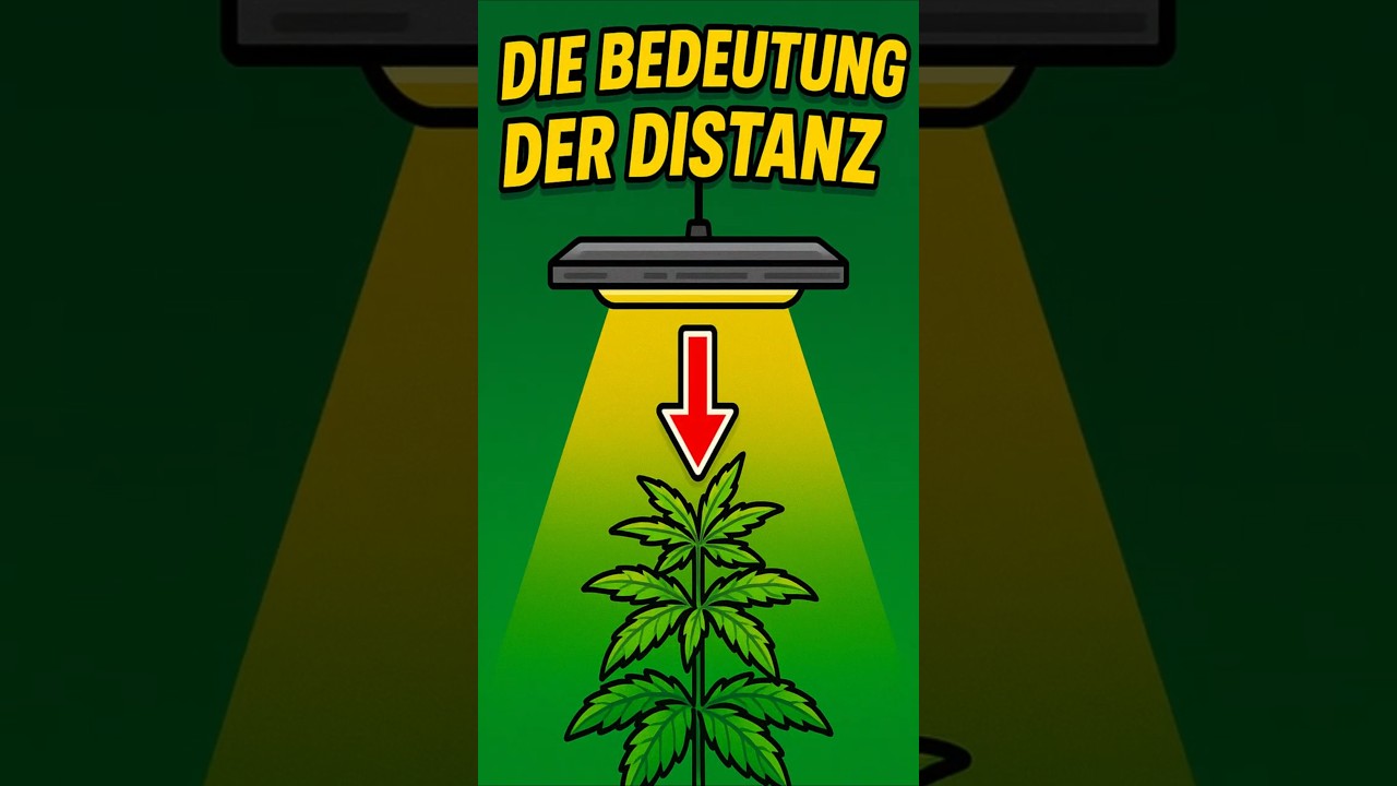 Die Bedeutung der Distanz der Lampe