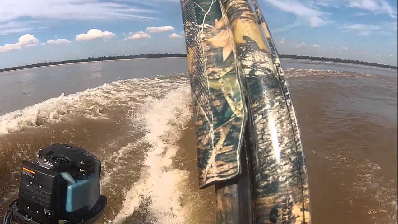 Asian Carp Target Practice